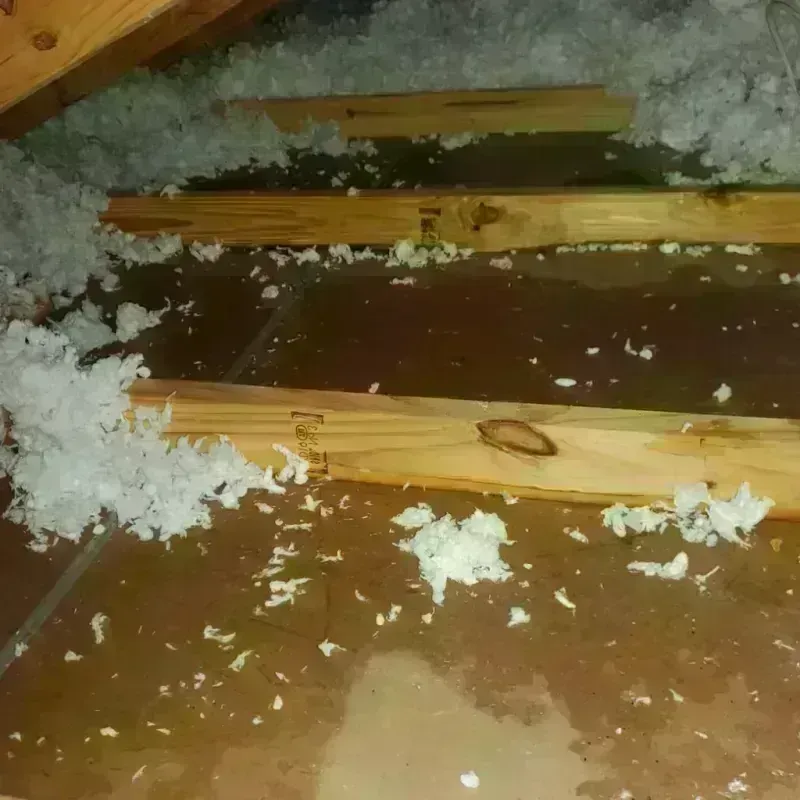 Attic Water Damage in Hickory Hills, MS